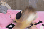 kittyrock