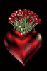heart_3