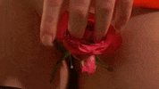 kottyaa_rose