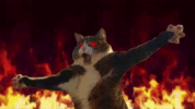 kp_fire