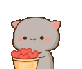 catlove5